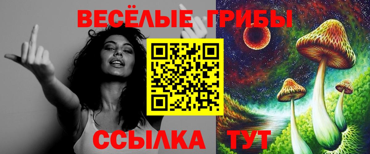 наркошоп  Вход с VPN  Горно-Алтайск  Галлюциногенные грибы мицелий 