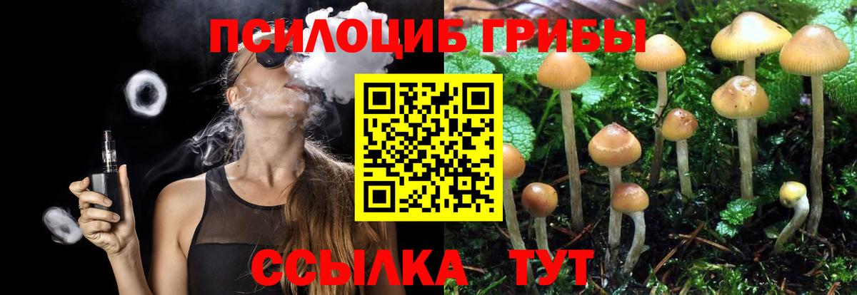 Псилоцибиновые грибы MAGIC MUSHROOMS Горно-Алтайск